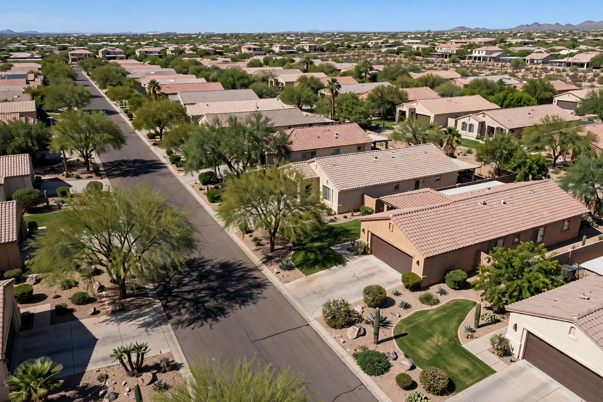 Aerial view of a tree-lined neighborhood in Litchfield Park, Arizona